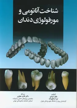 شناخت آناتومی و مورفولوژی دندان