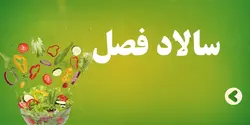 سالاد فصل