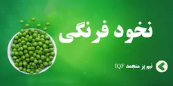 نخود فرنگی
