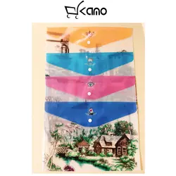 پوشه يا فولدر دكمه دار