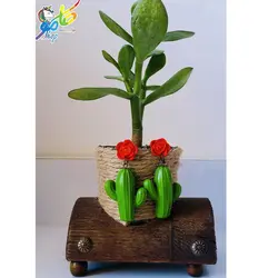 گوشواره کاکتوس