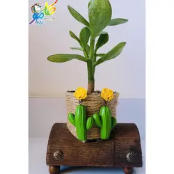 گوشواره کاکتوس