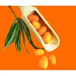 ماسک نقابی آلوورا و سنجد تلخ فریمن