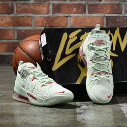 Nike Lebron 18