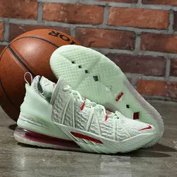 Nike Lebron 18
