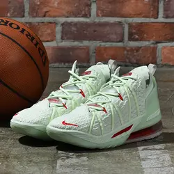 Nike Lebron 18