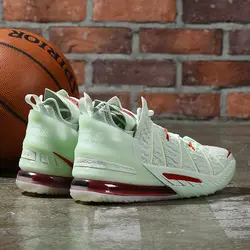 Nike Lebron 18