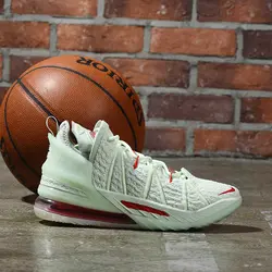 Nike Lebron 18