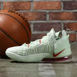 Nike Lebron 18