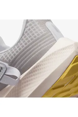 Air Zoom Pegasus Flyease Dj7383-500-500