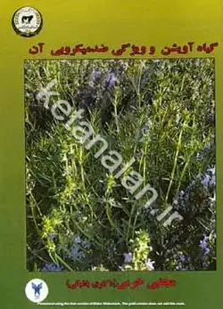 گیاه آویشن و ویژگی ضدمیکروبی آن