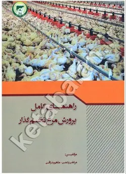 راهنمای کامل پرورش مرغ تخم گذار