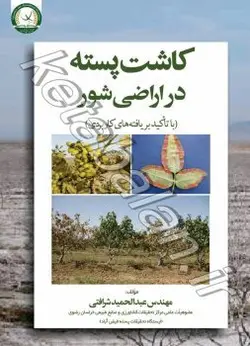 کاشت پسته در اراضی شور