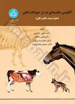 آناتومی مقایسه‌­ای تنه در حیوانات اهلی (حفره سینه، شکم و لگن)