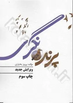 پرنده نگری