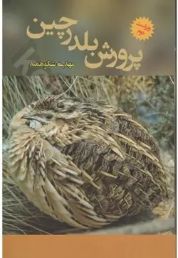 پرورش بلدرچین