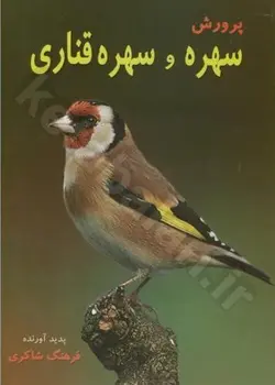 پرورش سهره و سهره قناری