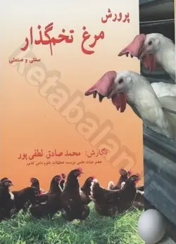 پرورش مرغ تخم گذار (سنتی و صنعتی)