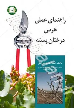 راهنمای عملی هرس درختان پسته