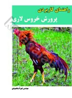 راهنمای کاربردی پرورش خروس لاری