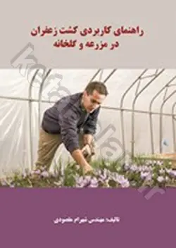 راهنمای کاربردی کشت زعفران در مزرعه و گلخانه