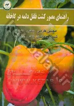 راهنمای مصور کشت فلفل دلمه در گلخانه