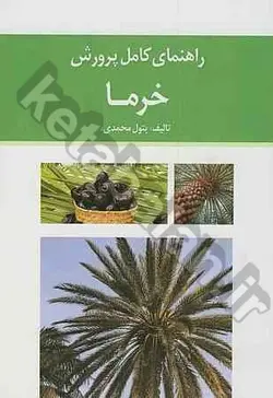 راهنمای کامل پرورش خرما