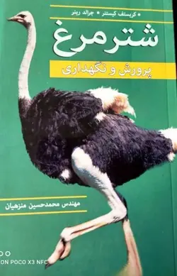 شتر مرغ پرورش و نگهداری