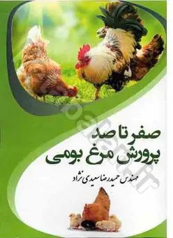 صفر تا صد پرورش مرغ بومی