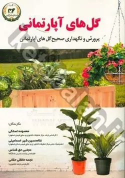 گل های آپارتمانی (پرورش و نگهداری صحیح گل های آپارتمانی)