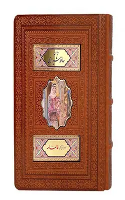 حافظ جیبی ترمو جعبه دار نفیس پلاک رنگی