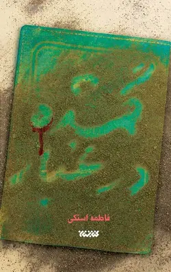 گمشده در غبار