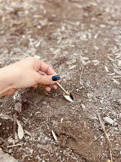 جاسوییچی ابزار