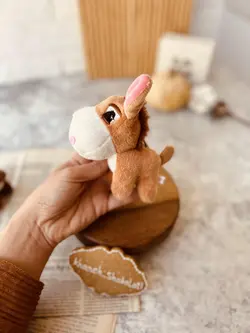 جاسوییچی الاغ کد0034