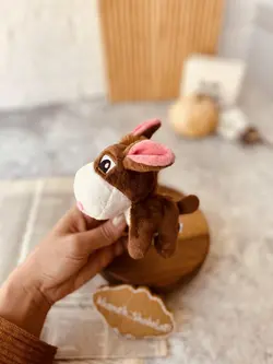 جاسوییچی الاغ کد0034