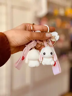 جا سوییچی خرگوش نشسته