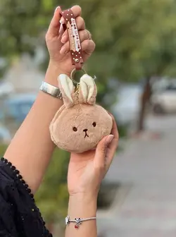 جاسوییچی و کیف خرس و خرگوش