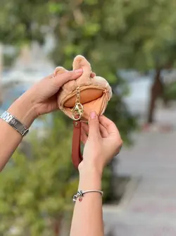 جاسوییچی و کیف خرس و خرگوش