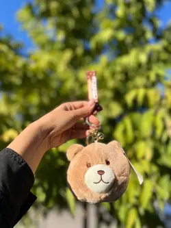 جاسوییچی و کیف خرس و خرگوش