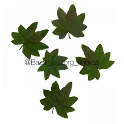 برگ چنار 5 تایی