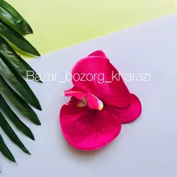 سرگل ارکیده 10 سانتی تکی