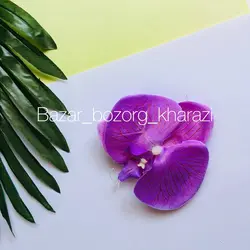 سرگل ارکیده 10 سانتی تکی