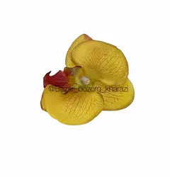 سرگل ارکیده 8 سانتی تکی