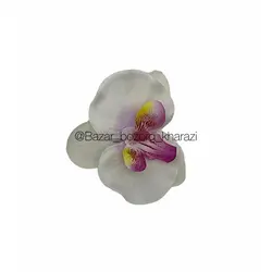 سرگل ارکیده 8 سانتی تکی