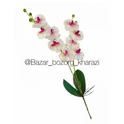 گل شاخه ای ارکیده