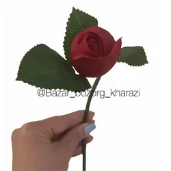 گل شاخه ای رز بدون برگ