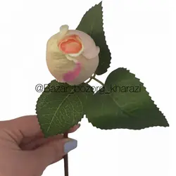 گل شاخه ای رز بدون برگ