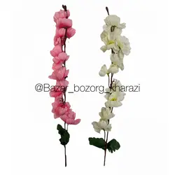 گل شاخه ای سیب