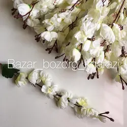 گل شاخه ای سیب