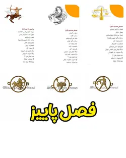 پلاک استیل ماه تولد دو طرفه طلایی